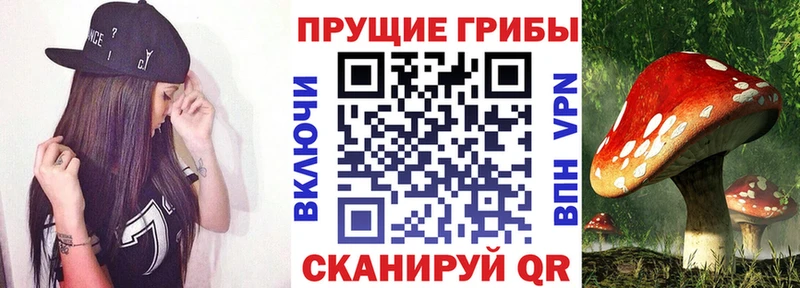 Галлюциногенные грибы мухоморы магазин продажи наркотиков Балахна